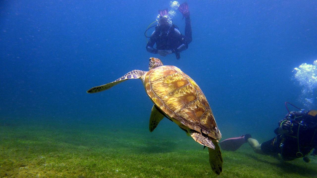 Deluna Diving Resort Puerto Galera Eksteriør bilde